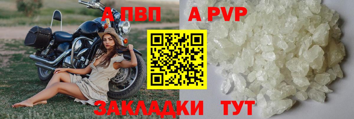 A-PVP СК Энгельс