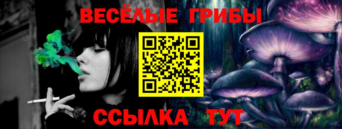 Галлюциногенные грибы Magic Shrooms  Вход с VPN  Энгельс 